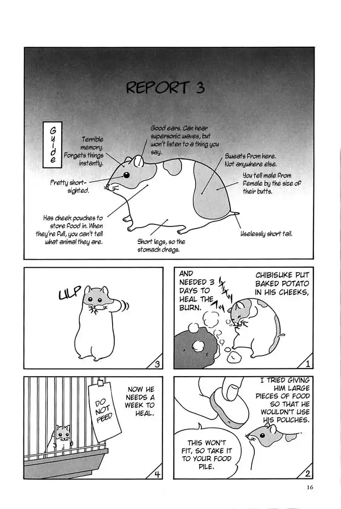 Hamster no Kenkyuu Report Chapter 2 3